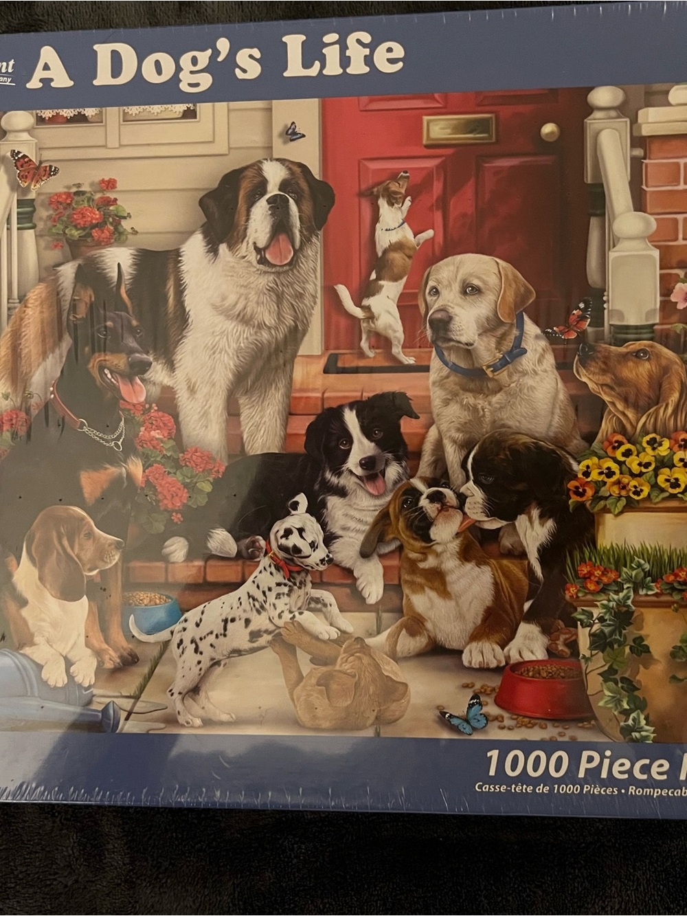A Dog's Life 1000-Piece Jigsaw Puzzle - Colorful Dogs
